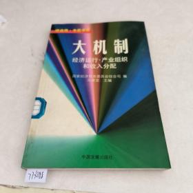 大机制:经济运行·产业组织和收入分配