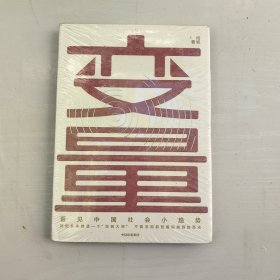 变量：看见中国社会小趋势