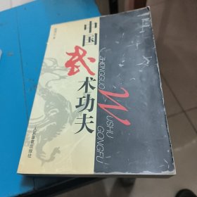 中国武术功夫