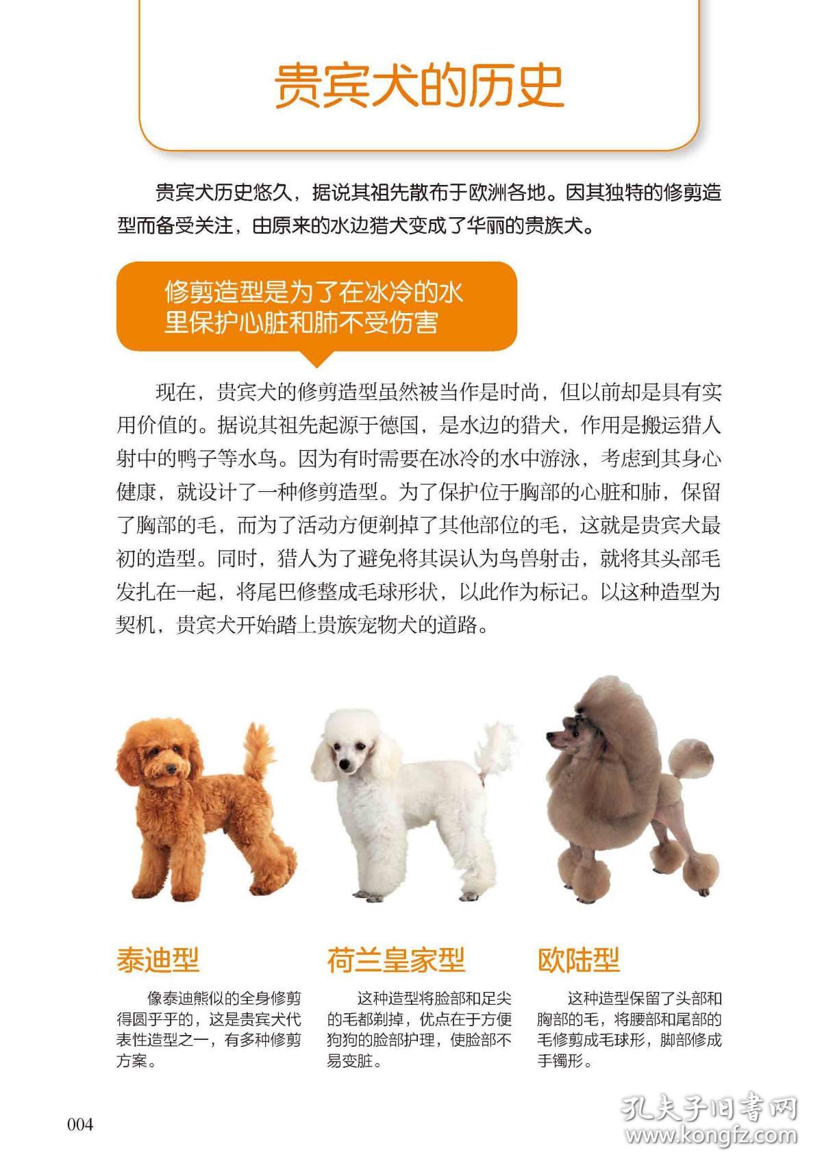 贵宾犬养护全程指导(全彩图解版我的宠物书) 普通图书/综合图书 日本《贵宾犬风采》编辑部 中国农业出版社 9787109219328