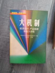 大机制:经济运行·产业组织和收入分配