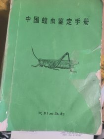 中國蝗蟲鑒定手冊
