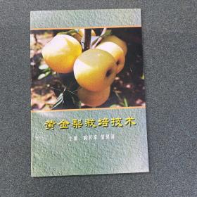 黄金梨栽培技术