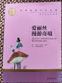 爱丽丝漫游奇境 中小学生课外阅读书籍世界经典文学名著青少年儿童文学读物故事书名家名译原汁原味读原著