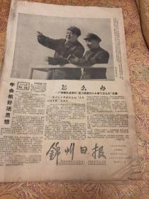 锦州日报1966年11月10日