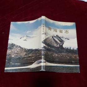 青海省志(五十八) 武警志(1995年1版1印 印数500册 小16开精装有护封)