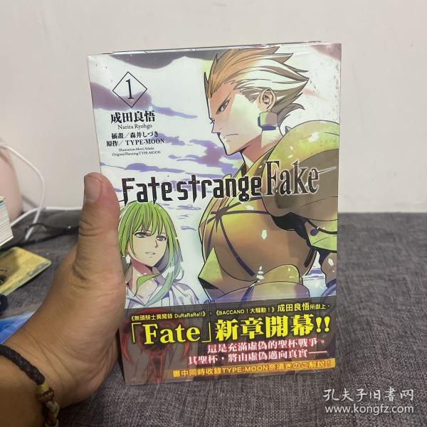 Fate/strange fake