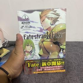 Fate/strange fake