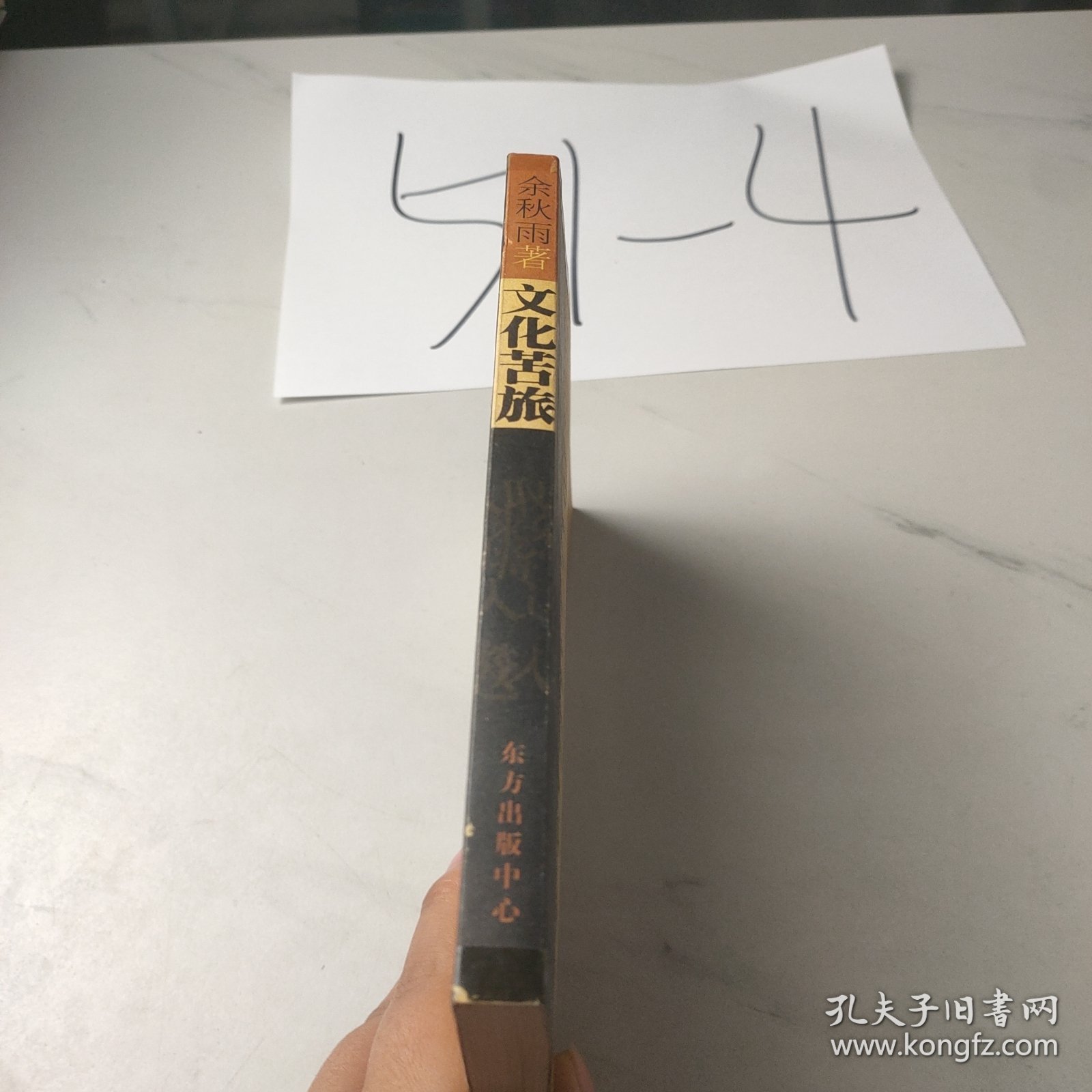 文化苦旅