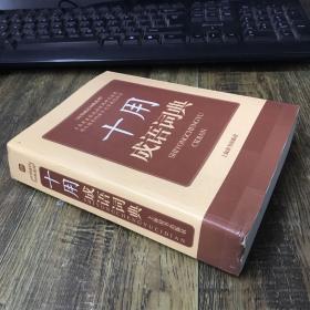 应用成语词典系列：十用成语词典