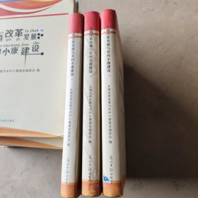 乡镇改革发展与农村小康建设一上中下册