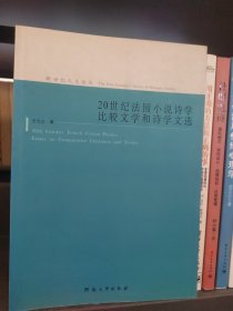 20世纪法国小说诗学比较文学和诗学文选：20世纪法国小说诗学·比较文学和诗学文选