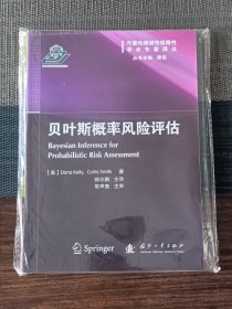 可靠性维修性保障性学术专著译丛：贝叶斯概率风险评估