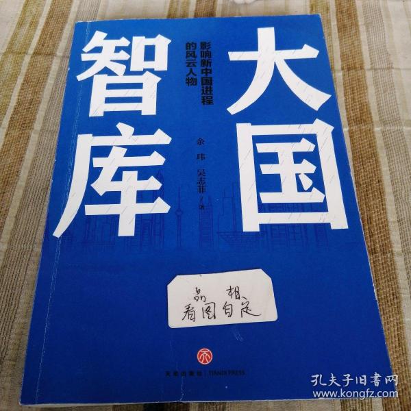 大国智库（大国崛起背后的智库力量和智囊推手：周南、李君如、吴良镛、林毅夫、胡鞍钢……）