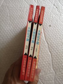 武侠小说，火拼花子窝 1.2.3（全三册）