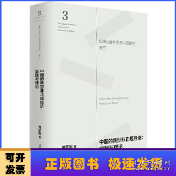 中国的新型非正规经济：实践与理论（实践社会科学与中国研究·卷三）