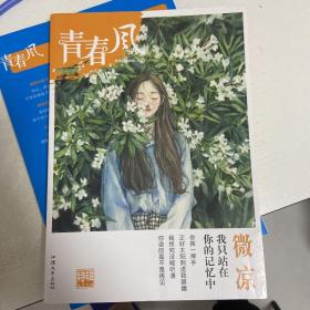 青春风特辑2 微凉（年刊）疯狂阅读 校园文学（新版）--天星教育