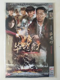 毕有财 2DVD 林永健 宁静 刘蓓 周冬齐 吕一 邵峰 杨蕊 主演电视剧（只发快递）