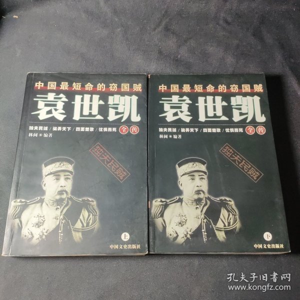 袁世凯全传  上下