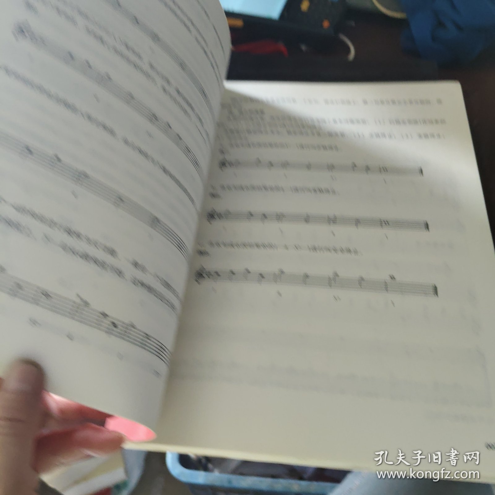 辛笛应用钢琴教学丛书·辛笛应用钢琴和声教程：弹钢琴 学和声