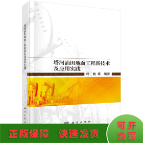 塔河油田地面工程新技术及应用实践  叶帆等著