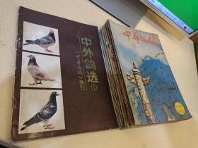 季刊 中华信鸽创刊号1985－1988年，全1－14中缺4，加增刊 中外鸽选1 2 共15册合售