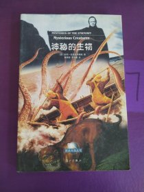 神秘的生物，