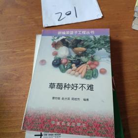 草莓种好不难——新编菜篮子工程丛书