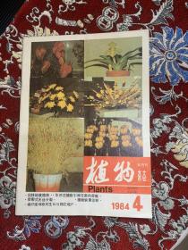 植物杂志 1984.4