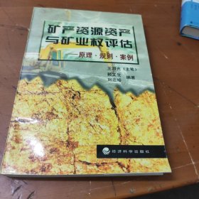 矿产资源资产与矿业权评估:原理·规划·案例