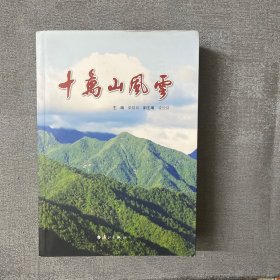 十万山风云