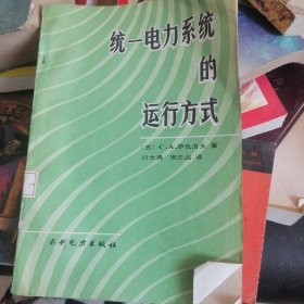 统一电力系统的运行方式