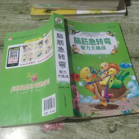 中国儿童成长彩书坊：脑筋急转弯智力大挑战