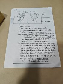 吕遵谔（北京大学考古系）1995年鉴定手稿的影印打印稿2页