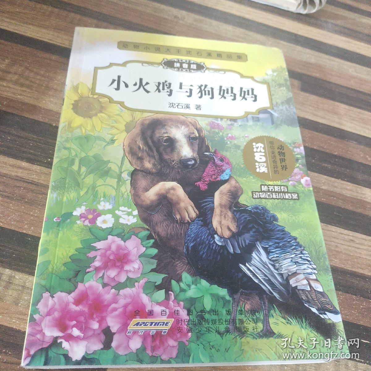 动物小说大王沈石溪精品集：小火鸡与狗妈妈（拼音版）