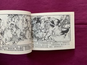 岳飞（上下两册）