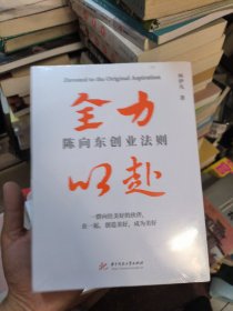 全力以赴 陈向东创业法则 全新未拆封