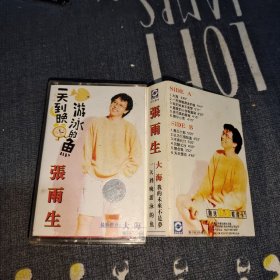 磁带：张雨生 一天到晚游泳的鱼