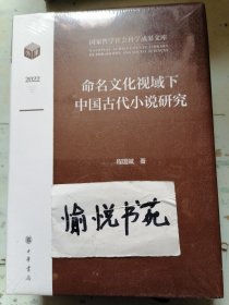 命名文化视域下中国古代小说研究（国家哲学社会科学成果文库）