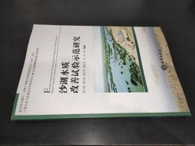 沙湖水质改善试验示范研究