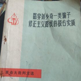 革命批判