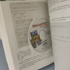 Windows程序设计