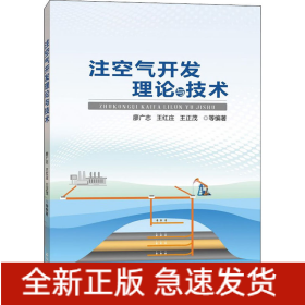 注空氣開發(fā)理論與技術(shù)