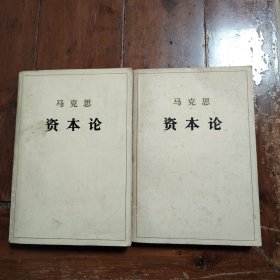 马克思资本论第一卷（上下）