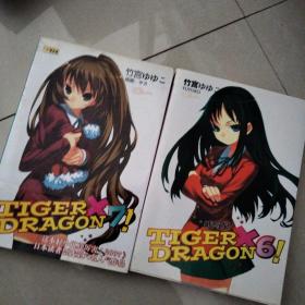 TIGER×DRAGON6-7!：虎与龙 两本合售