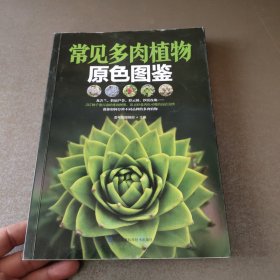 常见多肉植物原色图鉴