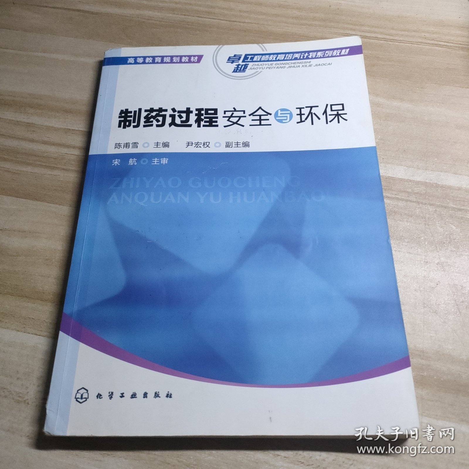 制药过程安全与环保(陈甫雪)