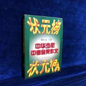 中華少年中考金獎作文