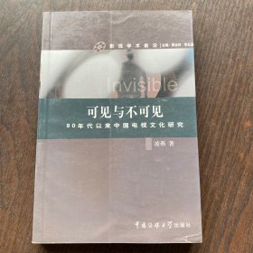 可见与不可见：90年代以来中国电视文化研究