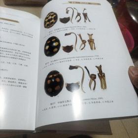 中国瓢虫原色图鉴：Colored Pictorial Handbook of Ladybird Beetles